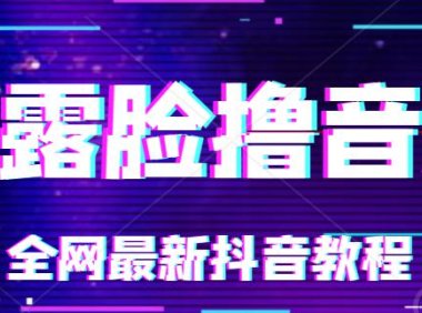 （5017）无人直播·抖音撸音浪：从0-1实操讲解，一个半小时的课程