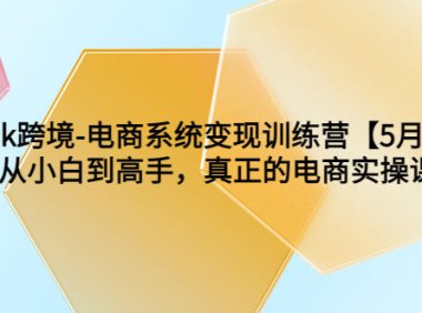 (5026)跨境电商·tiktok变现训练营:0基础小白也能学的跨境课程