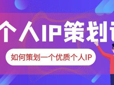 (5043)个人IP策划·2023新课:普通人也能起飞的个人IP项目(5043)