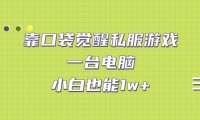 (5148)私服游戏·口袋觉醒,一台电脑+小白也能月入1w+(教程+工具+资料)
