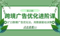 (5164)跨境广告·优化进阶课·第23期,8*15数模广告优化法,用数据驱动决策