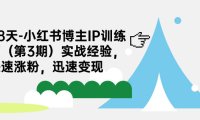 (5176)8天-小红书博主IP训练营(第3期)实战经验,快速涨粉,迅速变现