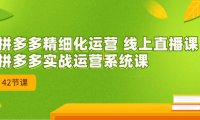 (5181)2023年8月新课-拼多多精细化运营 线上直播课:拼多多实战运营系统课-42节