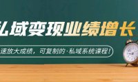 (5195)私域·变现业绩增长:快速放大成绩,可复制的·私域系统课程!