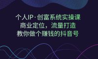 (5202)个人IP·创富系统实操课:商业定位,流量打造,教你做个赚钱的抖音号