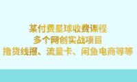 (5213)某付费星球课程:多个网创实战项目,撸货线报、流量卡、闲鱼电商等等