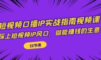 (5214)短视频口播IP实战指南视频课,踩上短视频IP风口,做能赚钱的生意(22节课)