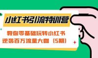 (5221)小红书引流特训营-第5期:教你零基础玩转小红书,逆袭百万流量大咖