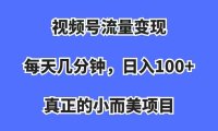 (5222)视频号流量变现,每天几分钟,收入100+,真正的小而美项目