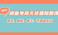 (5226)闲鱼电商无货源陪跑课,最全、最新、最干,零基础实战!