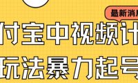 (5229)支付宝中视频玩法暴力起号影视起号有播放即可获得收益(带素材)