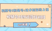 （5264）视频号·0粉起号+话术框架线上课：视频号0到1运营培训班（20节课）