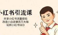 (5266)小红书引流课「共享小红书流量密码 改造小白逆袭百万大咖 玩转小红书SEO」