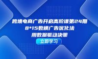 (5268)跨境电商-广告开启高阶课第24期,8*15数模广告优化法,用数据驱动决策