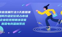 （5270）新商业-流量打法3天直播课：定位抢占市场 企业短视频获客 直播电商盈利系统