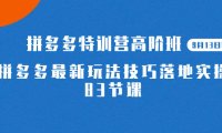 (5286)2023拼多多·特训营高阶班【9月13日更新】拼多多最新玩法技巧落地实操-83节