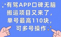 (5291)有驾APP口碑无脑搬运项目又来了,单号最高110块,可多号操作