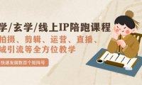 （5301）国学/玄学/线上IP陪跑课程，从0-1全方位教学，快速发展数百个矩阵号