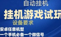 (5309)游戏试玩挂机,实测单机稳定50+