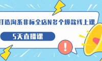 (5317)打造-淘系-非标全店N多个爆款线上课,5天直播课(19期)
