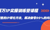 （5323）百万IP实战训练营课程，完整的IP孵化方法，解决做号99%的问题