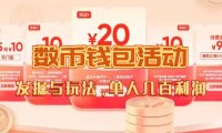 (5324)数字人民币_从严选为起点细讲个人怎么领红包(单人利润几百+)