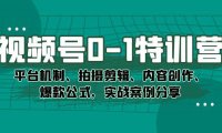 (5336)视频号0-1特训营:平台机制、拍摄剪辑、内容创作、爆款公式,实战案例分享