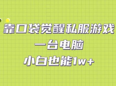 (5148)私服游戏·口袋觉醒,一台电脑+小白也能月入1w+(教程+工具+资料)