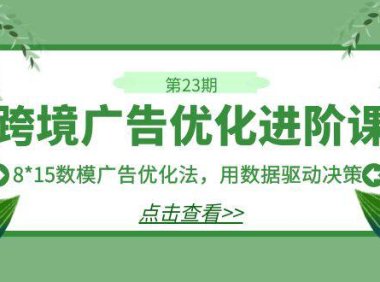 (5164)跨境广告·优化进阶课·第23期,8*15数模广告优化法,用数据驱动决策