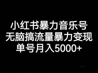 (5178)小红书暴力音乐号,无脑搞流量暴力变现,单号月入5000+