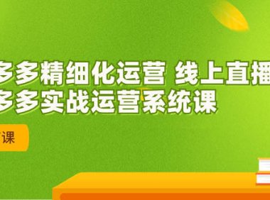 (5181)2023年8月新课-拼多多精细化运营 线上直播课:拼多多实战运营系统课-42节