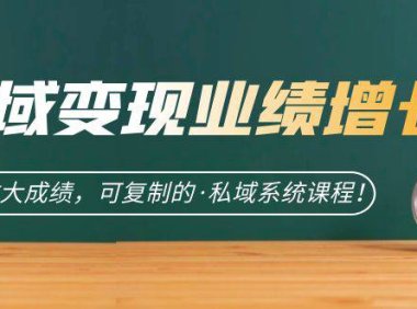(5195)私域·变现业绩增长:快速放大成绩,可复制的·私域系统课程!