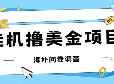 （5210）最新挂机撸美金礼品卡项目，可批量操作，单机器200+【入坑思路+详细教程】