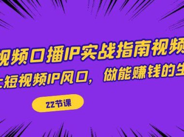 (5214)短视频口播IP实战指南视频课,踩上短视频IP风口,做能赚钱的生意(22节课)