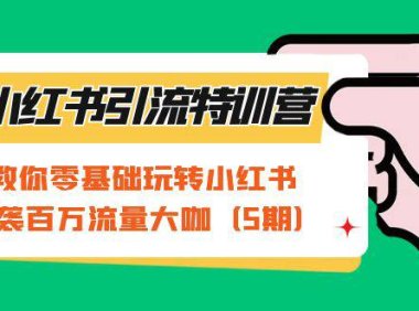 (5221)小红书引流特训营-第5期:教你零基础玩转小红书,逆袭百万流量大咖