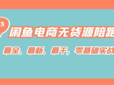 (5226)闲鱼电商无货源陪跑课,最全、最新、最干,零基础实战!