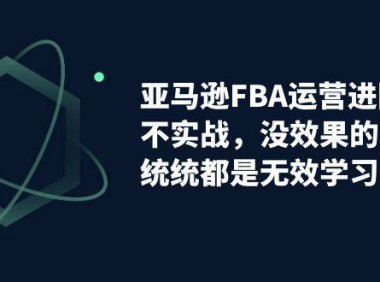 (5228)亚马逊-FBA运营进阶课,不实战,没效果的学习,统统都是无效学习
