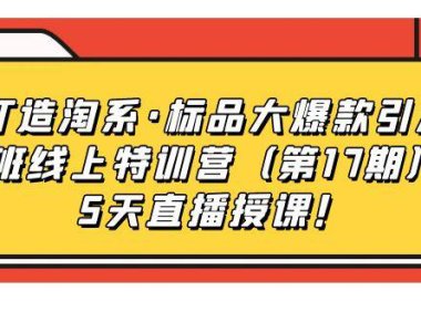 (5234)打造淘系·标品大爆款引流班线上特训营(第17期)5天直播授课!
