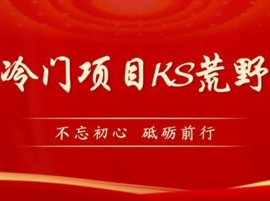 （5238）KS荒野求生玩法比较冷门好做（教程详细+带素材）