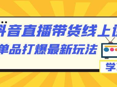 （5243）抖音·直播带货线上课，单品打爆最新玩法（12节课）
