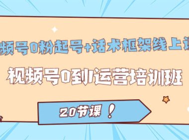 （5264）视频号·0粉起号+话术框架线上课：视频号0到1运营培训班（20节课）
