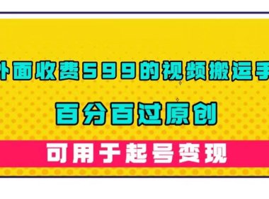 (5267)外面收费599的视频搬运手法,百分百过原创,可用起号变现