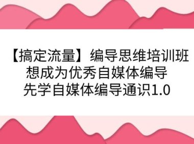 (5272)【搞定流量】编导思维培训班,想成为优秀自媒体编导先学自媒体编导通识1.0