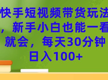 (5279)快手短视频带货玩法,新手小白也能一看就会,每天30分钟日入100+