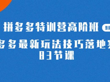 (5286)2023拼多多·特训营高阶班【9月13日更新】拼多多最新玩法技巧落地实操-83节