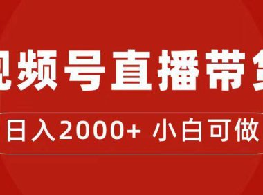 （5289）付了4988买的课程，视频号直播带货训练营，日入2000+