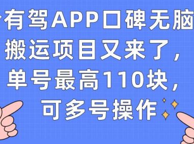 (5291)有驾APP口碑无脑搬运项目又来了,单号最高110块,可多号操作