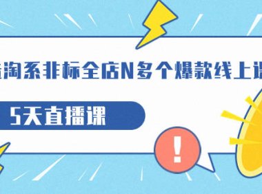 (5317)打造-淘系-非标全店N多个爆款线上课,5天直播课(19期)