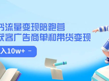 (5322)小红书流量·变现陪跑营(第8期):私域获客广告商单和带货变现 月入10w+