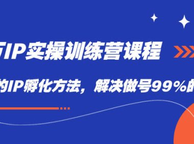 （5323）百万IP实战训练营课程，完整的IP孵化方法，解决做号99%的问题